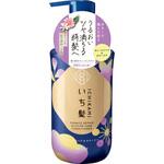 いち髪 ダメージリペア&カラーケア コンディショナー 各種 クラシエホームプロダクツ販売