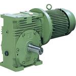 椿本チエイン ウォームパワードライブ EWM(R)・EWJM(R)シリーズ(三相200V) 椿本チエイン