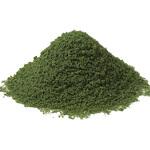 ジオラマスポンジ カーキ (HP-02) アーテック[学校教材・教育玩具]