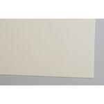 Mu ワトソンロール 190g 厚口 ナチュラル ミューズ[画材]