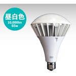 防塵防水トンネル工事用作業灯 GLOBAL(日本グローバル照明)