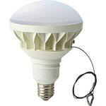 屋外レフ型LEDランプ 東京メタル