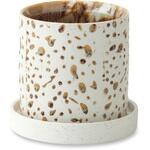 ダルミーポット ポッシュリビング