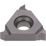 チップ ER/L-55 タンガロイ