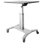 STSCART StarTech.com STSCART パソコンデスク StarTech.com