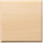 プラーク アーテック[学校教材・教育玩具]