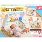 うちの赤ちゃん世界一スマート知育ジム&ウォーカー ピープル