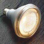 LEDランプ コイズミ照明