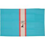 クッションレジャーシート CAPTAIN STAG