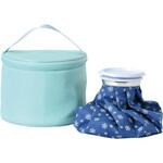 クールストレージ 氷のう保冷バッグ付 L パール金属