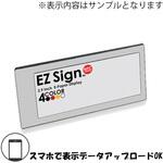 EZSign NFC 2.9 silver4 Santek