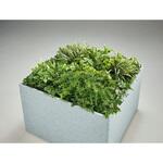 人工植物 LION (ライオン事務器)