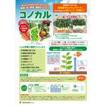 コノカル 昭和ファーム