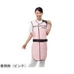 プレミアライト フレームライトエプロンタイプ PABシリーズ 保科製作所