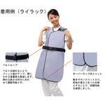 スマートライト エコノミーコート Aタイプ=背面0.13mmPb 鉛当量0.25 SGEシリーズ 保科製作所