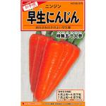 【タネ】早生にんじん 時無五寸人参 カネコ種苗