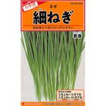 【タネ】細ねぎ 若香 カネコ種苗