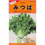【タネ】みつば (白茎みつば) カネコ種苗