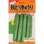 【タネ】秋どりきゅうり 霜知らず カネコ種苗