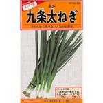 【タネ】九条太ねぎ カネコ種苗