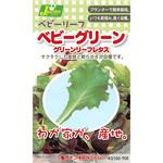 【タネ】ベビーリーフ_ベビーグリーン グリーンリーフレタス カネコ種苗