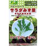 【タネ】ベビーリーフ_サラダみず菜 早生千筋京水菜 カネコ種苗