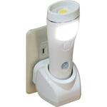 マルチセンサーライト 太知ホールディングス