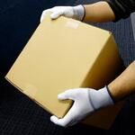 背抜きファインフィット10双 ミタニコーポレーション