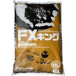 FXキング(通常タイプ) FOREXトーリン