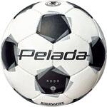 ペレーダ4000 4号球 molten