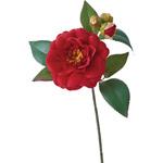 カサネツバキショート 横浜ディスプレイミュージアム