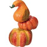 HW -1576 3レンパンプキンスタンド 横浜ディスプレイミュージアム