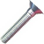 トップキャップ用カラーアルミボルト 30mm シルバー AVEDIO(エヴァディオ)