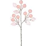 フロストベリーピック 東京堂