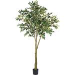 ファイカスジョイントポット MAGIQ(東京堂)