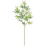 笹竹 MAGIQ(東京堂)