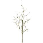 ツイッグブランチ MAGIQ(東京堂)