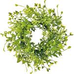 チックウィードリース MAGIQ(東京堂)