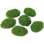 クッションモス MAGIQ(東京堂)