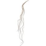 バニヤンツリールーツ MAGIQ(東京堂)