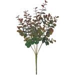 マチュアユーカリブッシュ MAGIQ(東京堂)