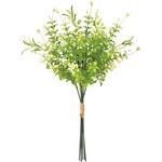 トランペットウィードバンドル MAGIQ(東京堂)