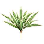 ニューサイランブッシュM MAGIQ(東京堂)