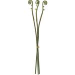 ゼンマイ MAGIQ(東京堂)