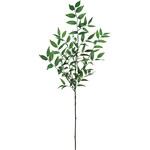 ルスカスグリーンブランチ MAGIQ(東京堂)