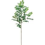 マルバシタンブランチ MAGIQ(東京堂)