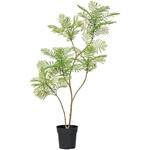 エバーフレッシュポット MAGIQ(東京堂)