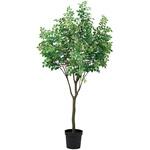 トネリコグランデポット MAGIQ(東京堂)