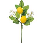 レモンの小枝 MAGIQ(東京堂)