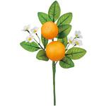 オレンジの小枝 MAGIQ(東京堂)